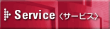 ZpҔhT[rX